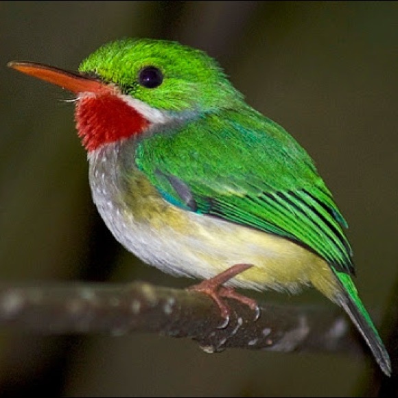 Meet your Posher, Sandra - Picture 5 of 8